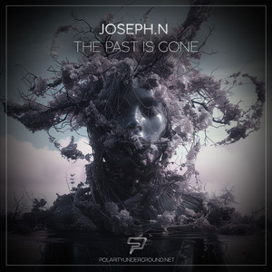 The Past Is Gone (Radio Mix)