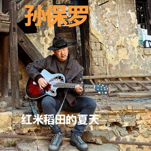 红米稻田的夏天