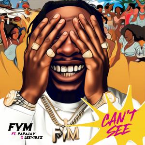 Can't See (feat. Leevib3z & Papajhay)