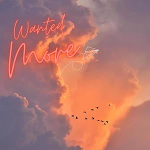 Wanted More (Explicit)