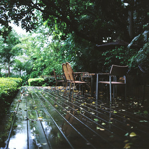 请各个网站别来挖我我绝不会离开