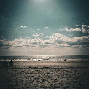 Win or Lose (Explicit)