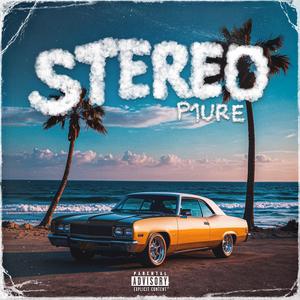 Stereo (feat. mertzo) (Explicit)