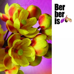 Percepcion Selectiva (Original Mix)