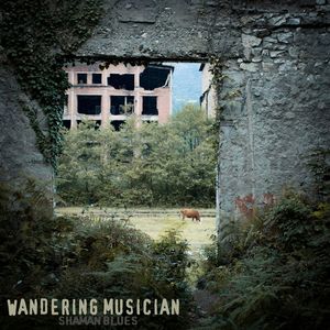 Wandering Musician