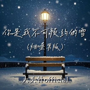 大头针 Official - 你是我不可预约的雪 (烟嗓男版)