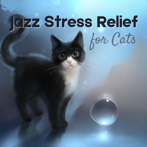 Jazz Stress Relief for Cats