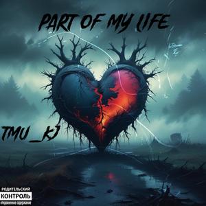 Part Of My Life (Explicit)