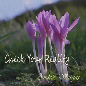 Check Your Reality