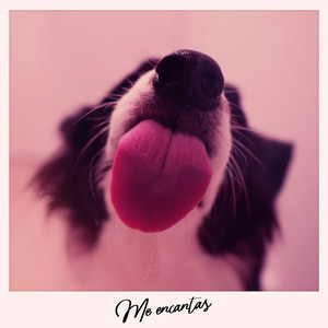 Me Encantas