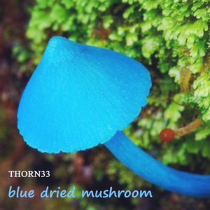 蓝瘦香菇 (Thorn33 remix)