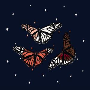 butterflies