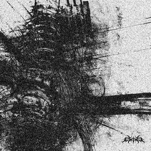 rafaelauviah - PARADISE (Explicit)