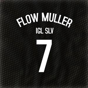 Flow Muller (Explicit)