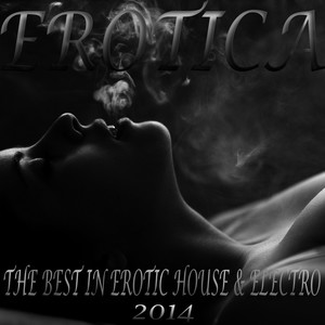 Erotica, the Best in Erotic House and Electro 2014 (An Ultimate Selection of Sexy Dance Grooves)