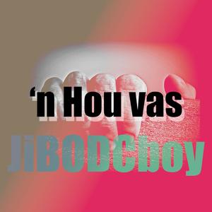 'n Hou vas