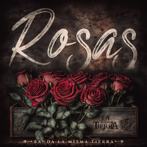 Rosas