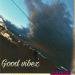 Good Vibez (feat. Platnum Starr ) [Explicit]