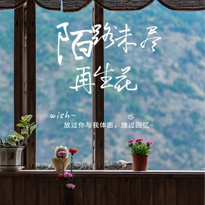 陌路未尽再生花