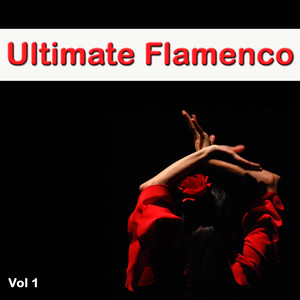 Ultimate Flamenco Vol 1