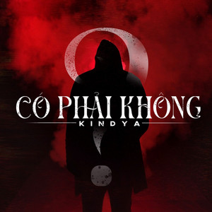 Có Phải Không