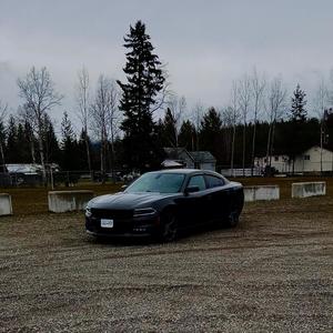 they g0t me d3ad (Explicit)