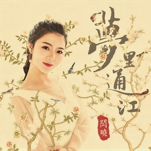 闫晓 - 梦里通江