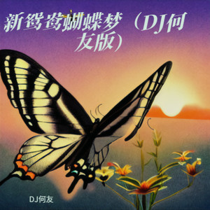 新鸳鸯蝴蝶梦 (DJ何友 remix)