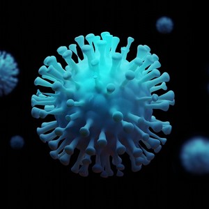 F**k You Corona Virus 冠状病毒请走开