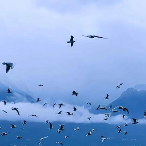 新冬可否能胜旧