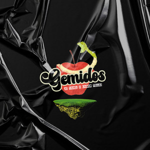 Gemidos (Explicit)