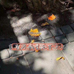 寂寞的枫叶 在你的身边