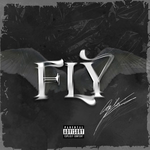 FLY (Explicit)