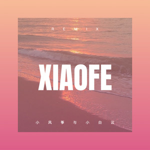 戒烟戒酒难戒情 (Remix)