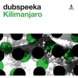 Dubspeeka - Falling Skies