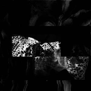 FEAR (feat. Dev Gajan) (THEFRIDGEDMV Remix)