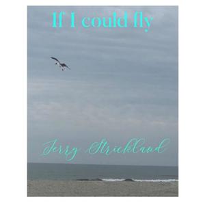 If I Could Fly