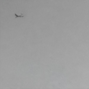 Man Who Stopped at Nothing