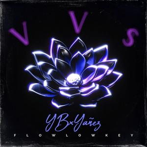 Vv$ (feat. YAÑEZ) (Explicit)