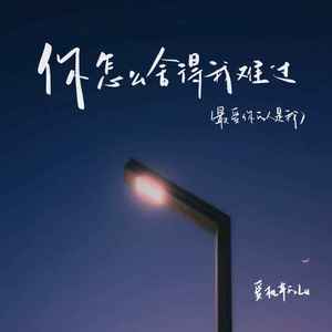 你怎么舍得我难过（最爱你的人是我）封面