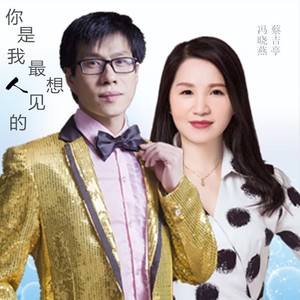 你是我最想见的人 (DJ版)