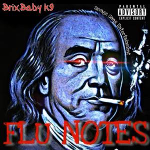 Flu Notes (Explicit)
