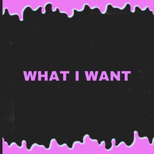 WHAT I WANT (Explicit)