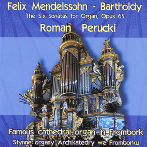 Sonata No. 1 in F Minor - I. Allegro moderato e serioso