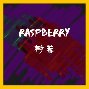 Raspberry树莓