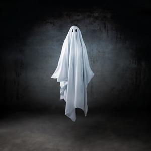 Becoming a Ghost