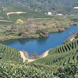 26个英文字母歌