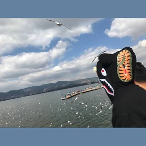 满舒克 - 陪你过冬天Remix-紫罗兰