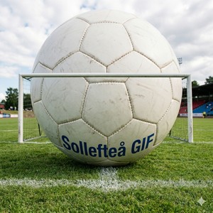 Sollefteå GIF (Explicit)