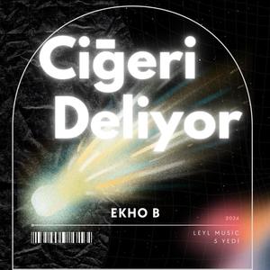 Ciğeri Deliyor